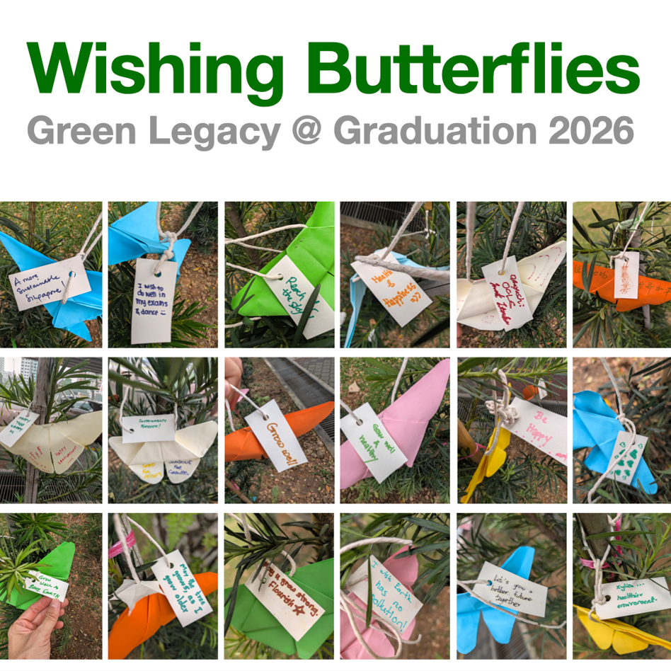 Green Legacy 6.jpeg.jpg